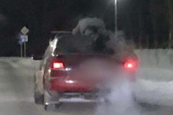 В Павлодаре мужчина на крыше автомобиля прокатил пассажира