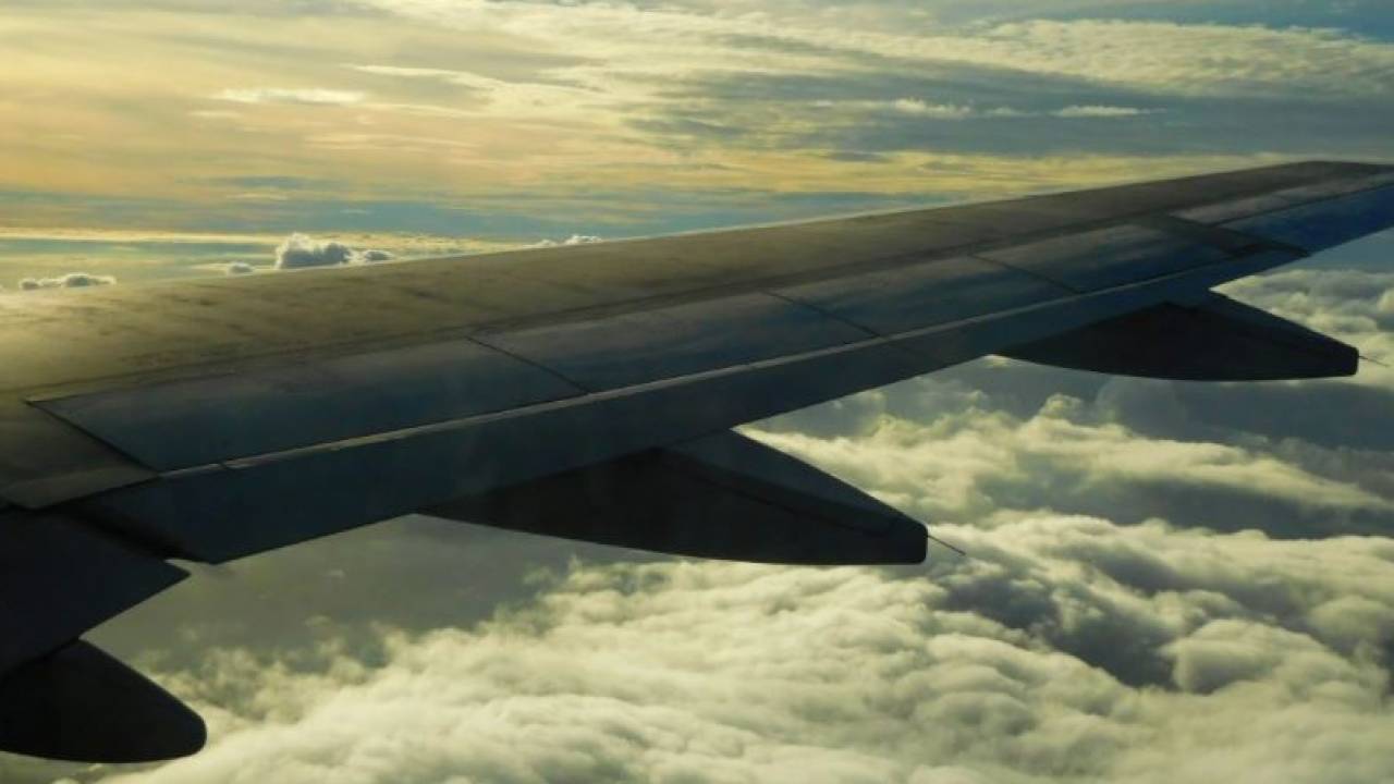 У двоих казахстанцев, прилетевших из Дубая и Шарм-эль-Шейха, выявили коронавирус