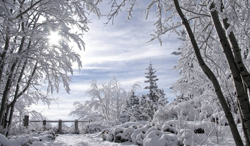 2 февраля в некоторых регионах РК сохранится погода без осадков