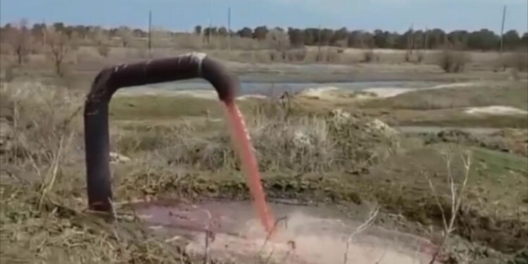 "Красная" вода в Семее оказалась кровью
