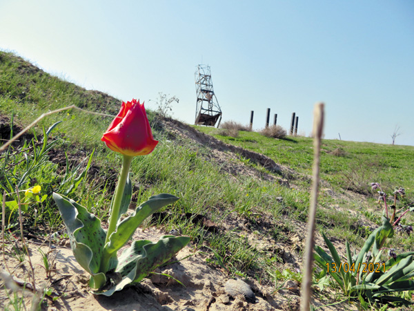 Караульная вышка устояла