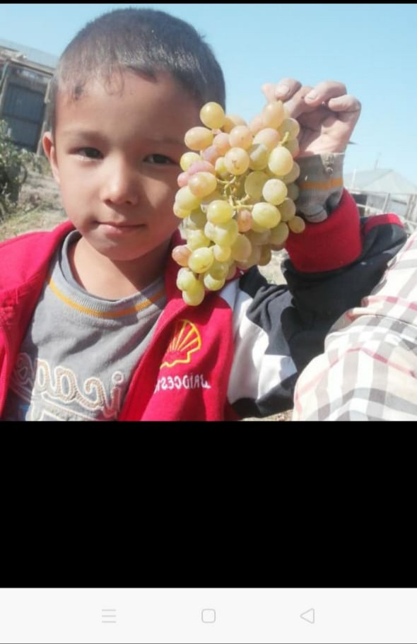 Шестилетний ребенок вышел на прогулку и не вернулся: полиция и волонтеры организовали поиск