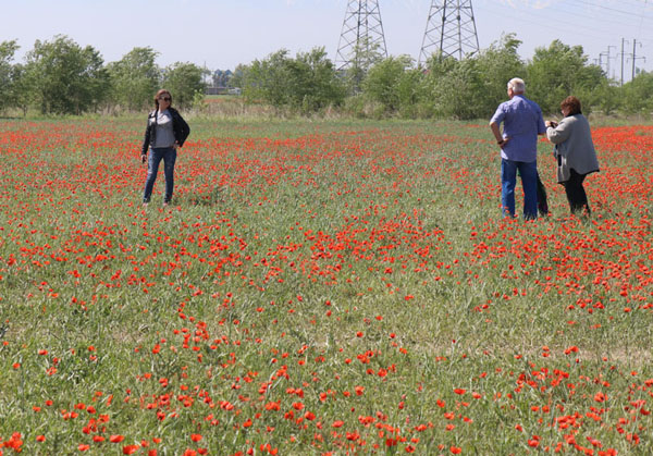 Фото Тахира САСЫКОВА