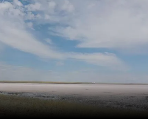 О высыхании озера Кобейтуз рассказали в акимате Акмолинской области