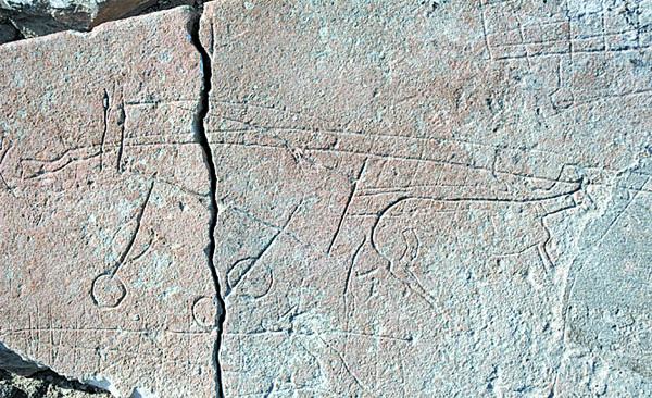 Рисунок фургона отображает детали каркаса тентового покрытия, о котором мог знать только очевидец!