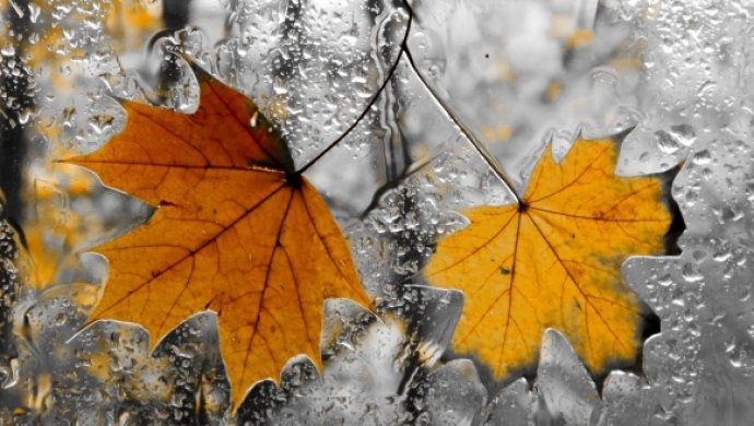 30 сентября на большей части Казахстана пройдут осадки