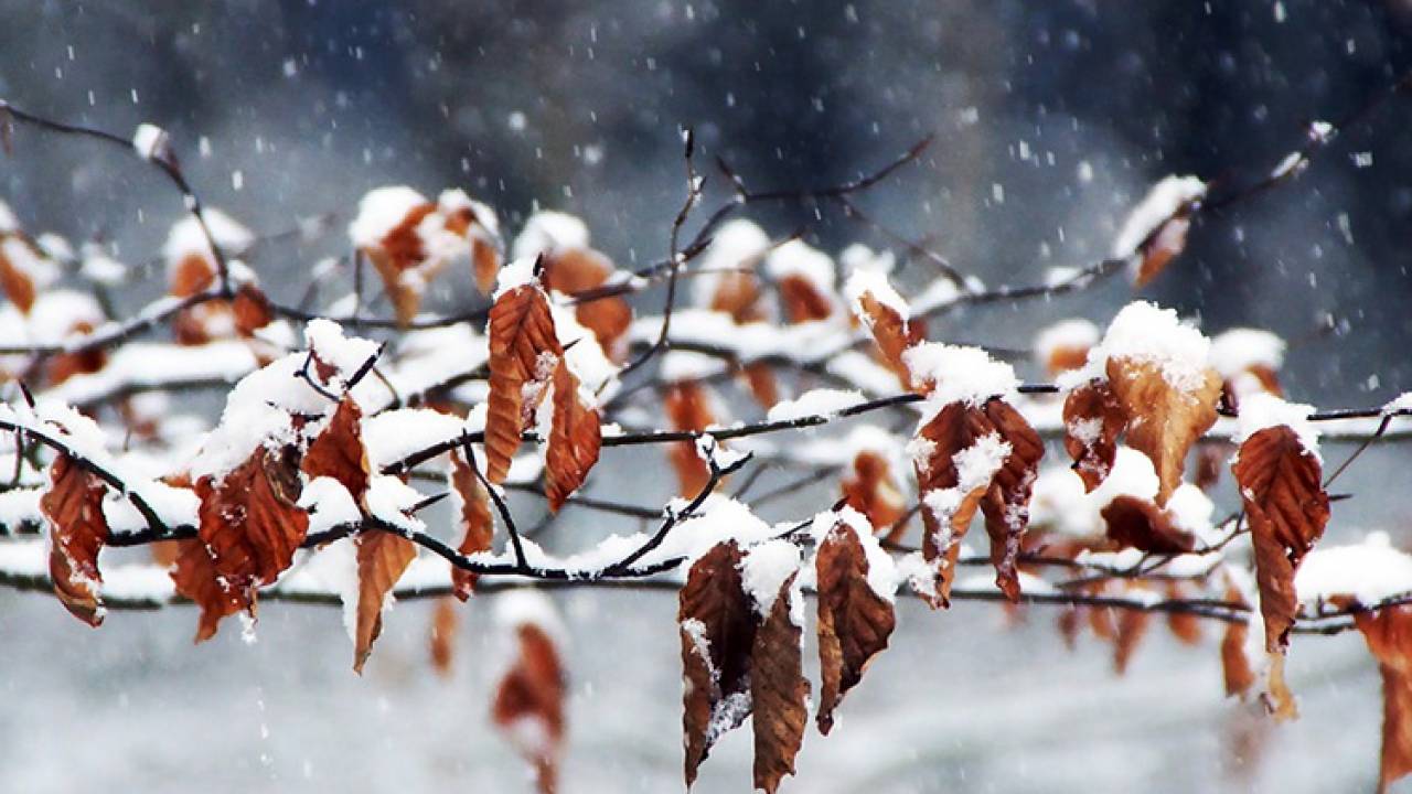 В РК в ближайшие дни ожидаются сильные осадки