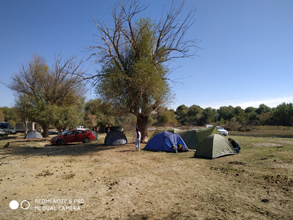 Лагерь на поляне