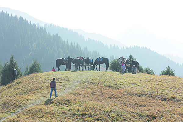 Почти 3 года общественники Алматы и фонд “Зеленое спасение” бились за то, чтобы сохранить урочище Кок-Жайляу. Фото Тахира САСЫКОВА