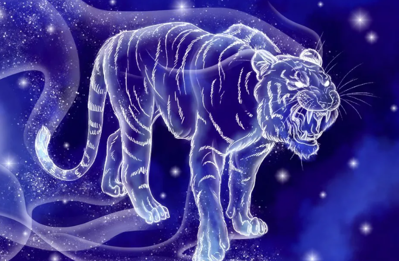 Кто из знаков Зодиака будет успешен в год Водяного Тигра: восточный гороскоп-2022