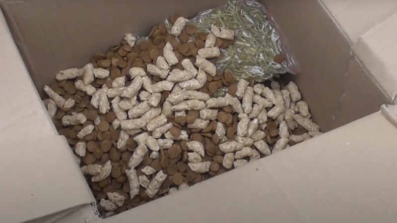 В результате спецоперации в Нур-Султане и Алматы пресечен крупный наркотрафик