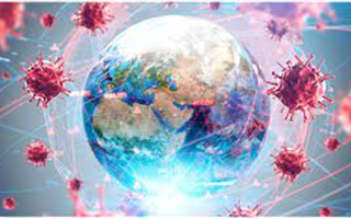 Когда ВОЗ планирует объявить о завершении пандемии