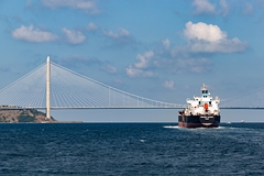 Обнаруженную в Босфоре мину изучает Министерство национальной обороны Турции