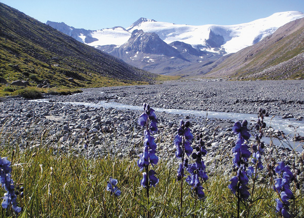 По преданию, в этом ущелье могут быть зарыты сокровища атамана
