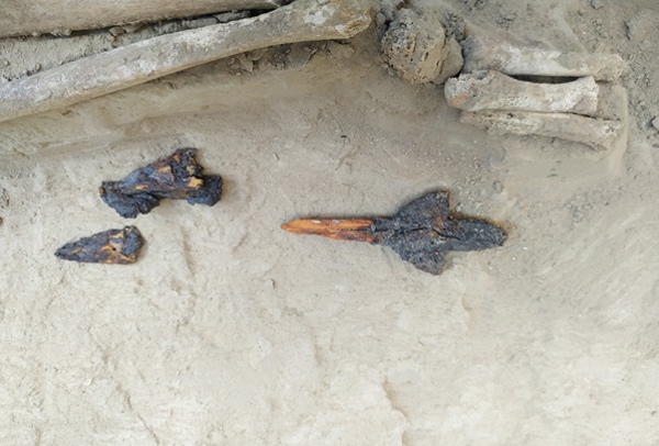 Редкие двухлопастные наконечники стрел