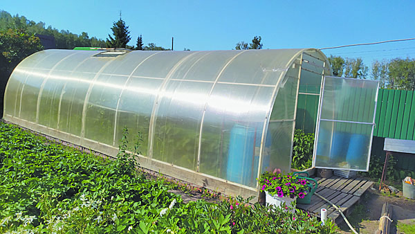 Появились и современные теплицы