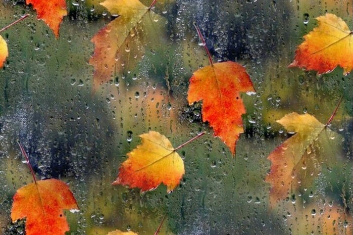 Какой будет погода 19 октября в Казахстане