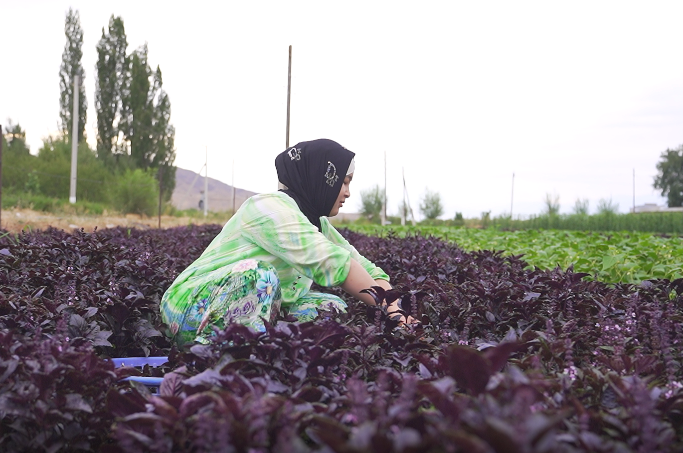 "Отдаем детей в казахские садики и школы": как живут дунгане в Казахстане