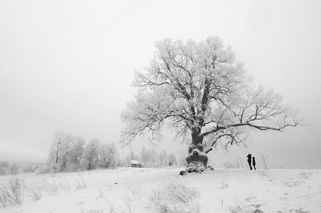 Какой будет погода 19 декабря в Казахстане
