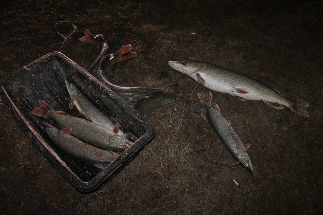 Казахстанцам выписали штрафы в размере 15,7 миллиона тенге за браконьерство