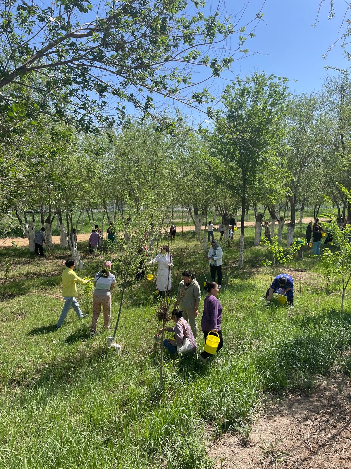 В Кызылординской области в рамках недели «Жасыл аймақ» прошел общеобластной субботник 
