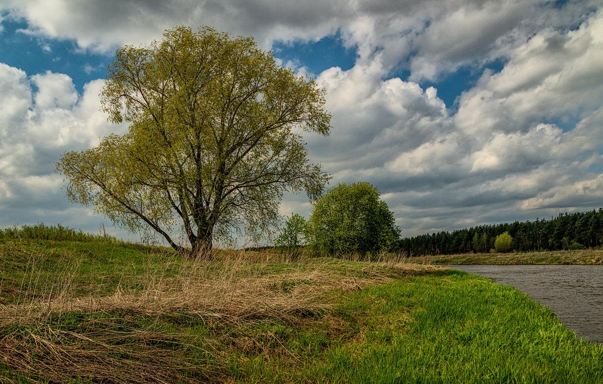 13 мая во многих регионах РК ожидается погода без осадков
