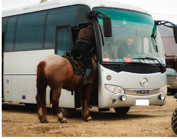 Гостям из Европы очень не хватает на наших автобусных остановках Wi-Fi и кофемашины